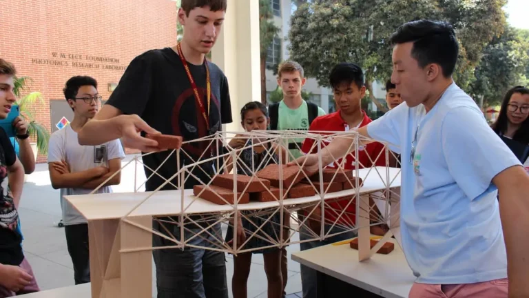 What Are Pre-College Programs and How Do They Support High School Students?