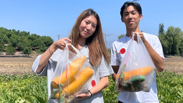 A girl and boy stand in the middle of a farm field, holding up plastic bags containing long, orange vegetables.